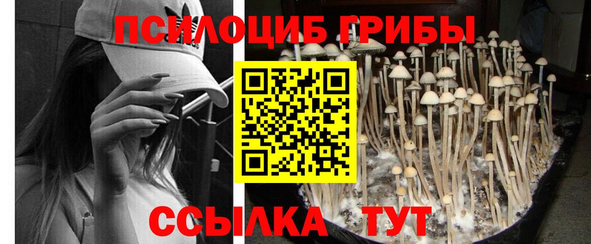 Псилоцибиновые грибы Magic Shrooms  Вход с VPN  Лесосибирск  Псилоцибиновые грибы Cubensis 